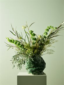 JOTUN PISTACHIO 7386